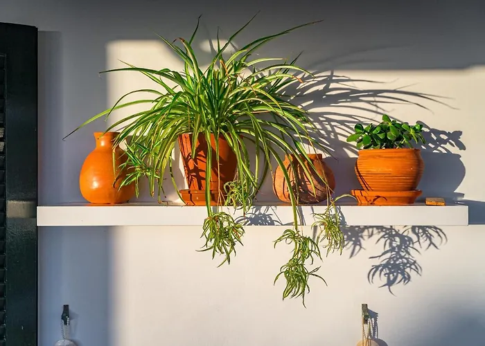 Charming With Private And Heated Pool Costa Adeje (Tenerife)