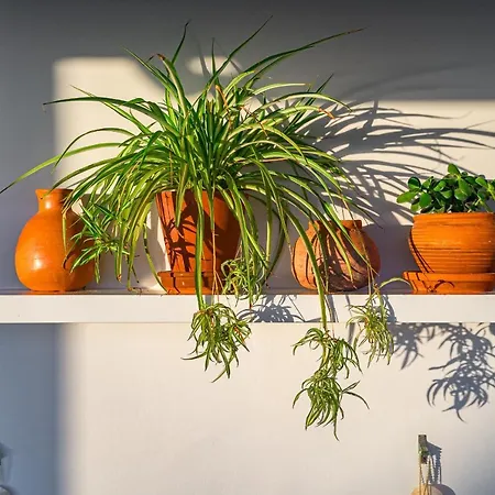 Charming With Private And Heated Pool Адехе